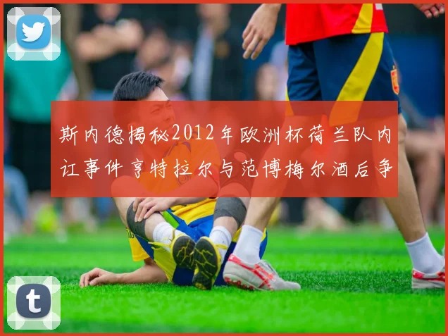 斯内德揭秘2012年欧洲杯荷兰队内讧事件亨特拉尔与范博梅尔酒后争执内幕