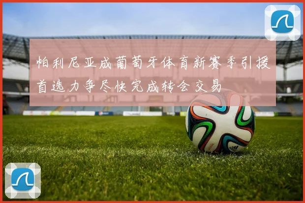 帕利尼亚成葡萄牙体育新赛季引援首选力争尽快完成转会交易