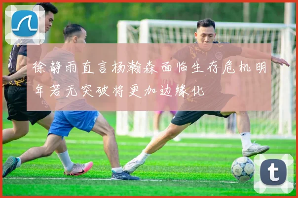 徐静雨直言杨瀚森面临生存危机明年若无突破将更加边缘化